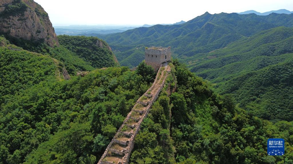 最新捕鱼游戏